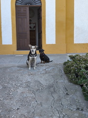IMG 20241230 095720