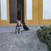 IMG_20241230_095720